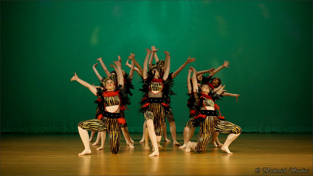 dance-recital-performing-arts-video_161128-154915-img_0874